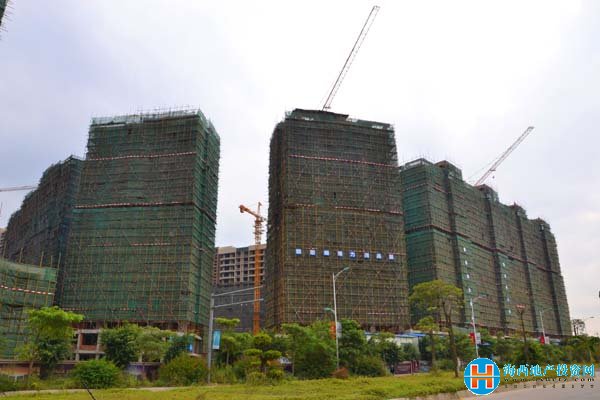 盛世锦都实景图