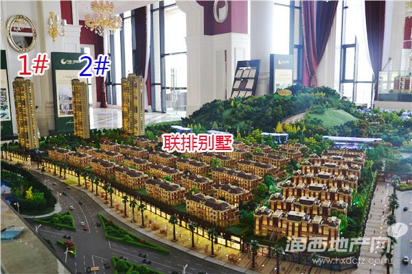 2014-11-21拍