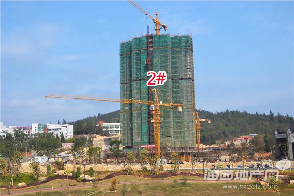 2015-1-4拍