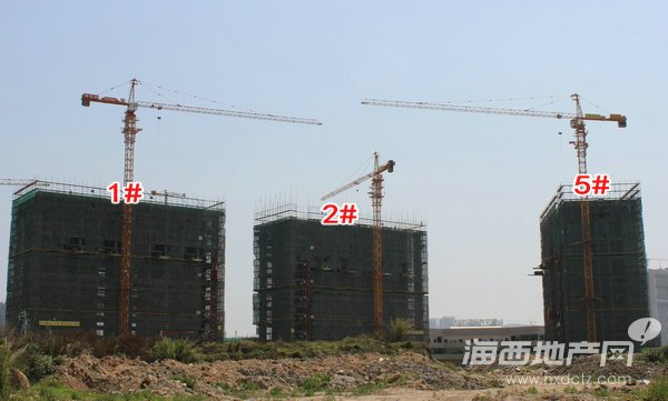 2015-04-13拍