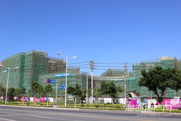 2015-8-8拍