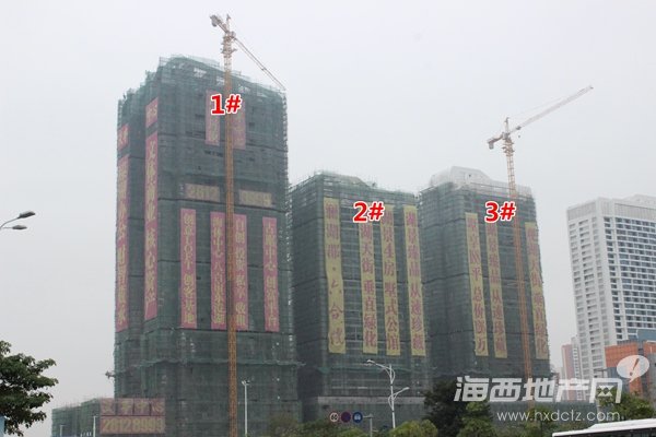 2015-12-22拍
