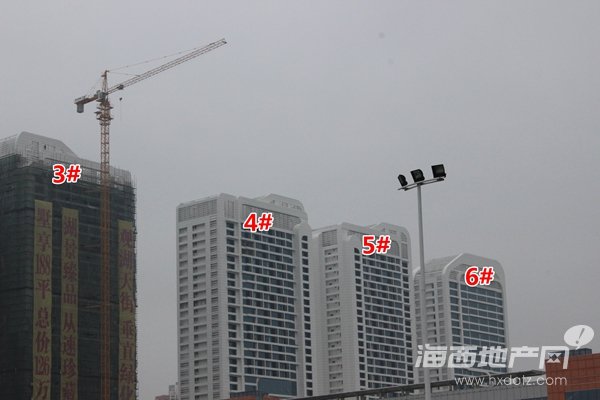 2015-12-22拍
