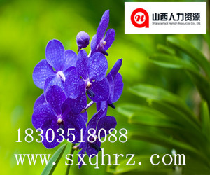 太原劳务派遣外包为国企事业单位编制外人员服